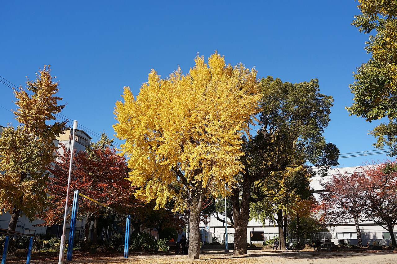 近況のつぶやき 2025.11.29