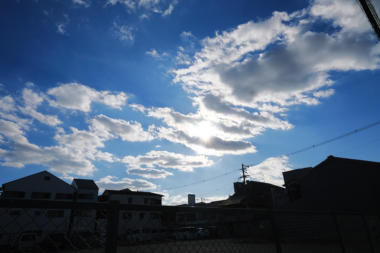 近況のつぶやき 2025.12.18